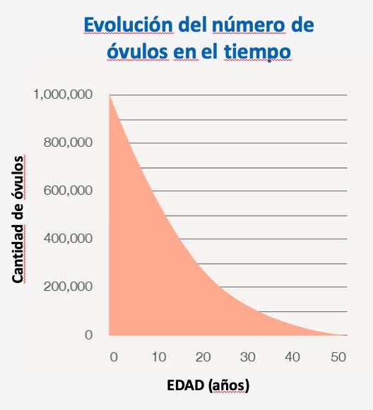 Cantidad de ovulos segun la edad de la mujer